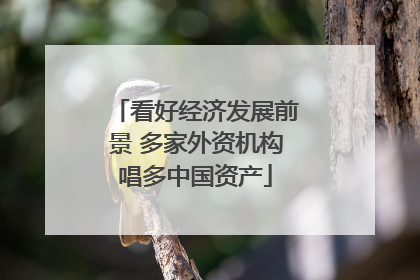 看好经济发展前景 多家外资机构唱多中国资产