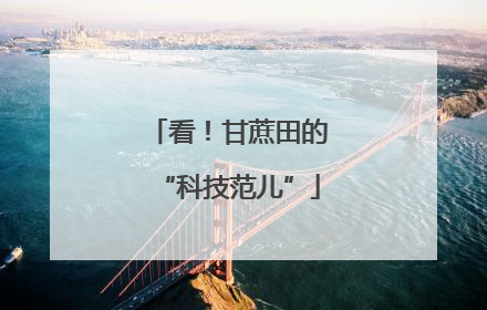 看！甘蔗田的“科技范儿”