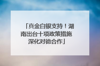 真金白银支持！湖南出台十项政策措施深化对德合作