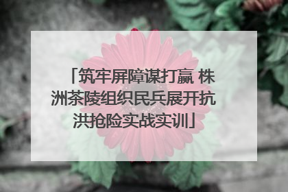 筑牢屏障谋打赢 株洲茶陵组织民兵展开抗洪抢险实战实训