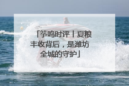 筝鸣时评丨夏粮丰收背后，是潍坊全城的守护