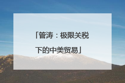 管涛：极限关税下的中美贸易
