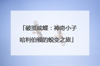 破茧成蝶：神奇小子哈利伯顿的蜕变之旅