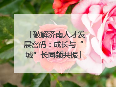 破解济南人才发展密码：成长与“城”长同频共振