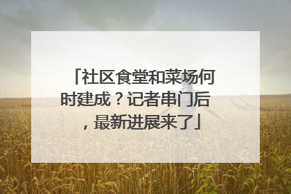 社区食堂和菜场何时建成？记者串门后，最新进展来了
