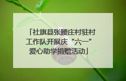 社旗县张腰庄村驻村工作队开展庆“六一”爱心助学捐赠活动