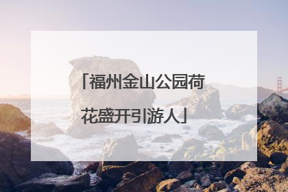 福州金山公园荷花盛开引游人
