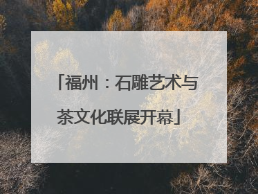 福州：石雕艺术与茶文化联展开幕