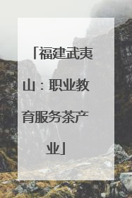 福建武夷山：职业教育服务茶产业