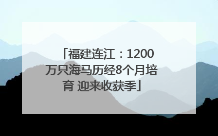 福建连江：1200万只海马历经8个月培育 迎来收获季