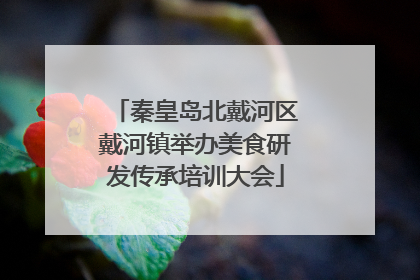 秦皇岛北戴河区戴河镇举办美食研发传承培训大会