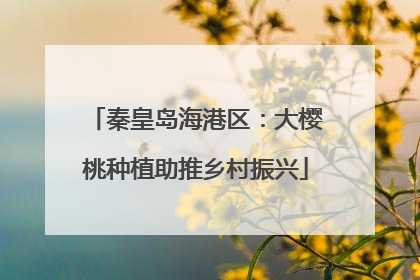 秦皇岛海港区：大樱桃种植助推乡村振兴