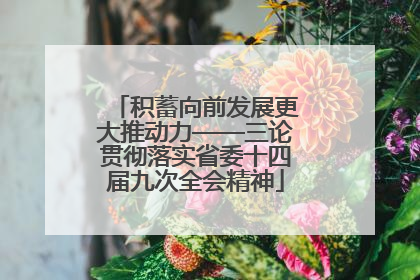 积蓄向前发展更大推动力——三论贯彻落实省委十四届九次全会精神