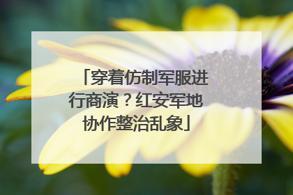 穿着仿制军服进行商演？红安军地协作整治乱象