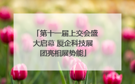 第十一届上交会盛大启幕 厦企科技展团亮相展势能