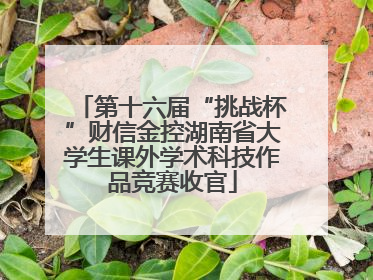 第十六届“挑战杯”财信金控湖南省大学生课外学术科技作品竞赛收官