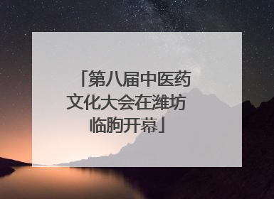 第八届中医药文化大会在潍坊临朐开幕
