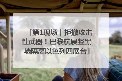 第1现场｜拒撤攻击性武器！巴黎航展竖黑墙隔离以色列四展台