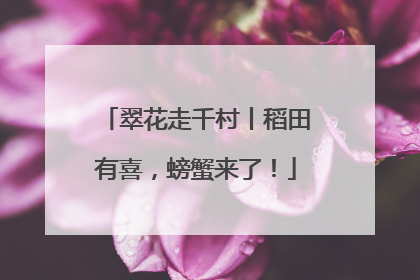翠花走千村丨稻田有喜，螃蟹来了！