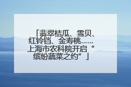 翡翠桔瓜、雪贝、红铃铛、金寿桃……上海市农科院开启“缤纷蔬菜之约”