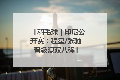 羽毛球｜印尼公开赛：程星/张驰晋级混双八强