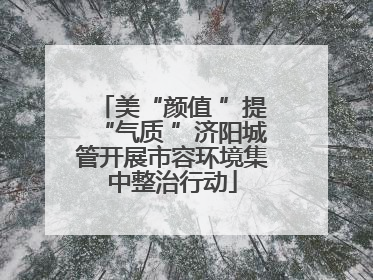 美“颜值 ”提“气质 ”济阳城管开展市容环境集中整治行动