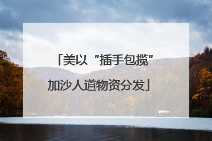 美以“插手包揽”加沙人道物资分发