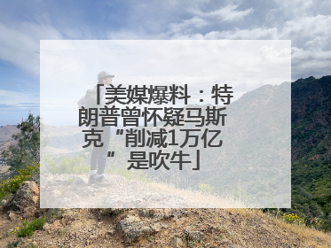美媒爆料：特朗普曾怀疑马斯克“削减1万亿”是吹牛