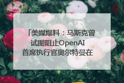 美媒爆料：马斯克曾试图阻止OpenAI首席执行官奥尔特曼在中东的AI交易