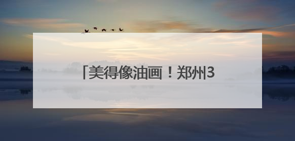 美得像油画！郑州3处睡莲观赏地推荐→