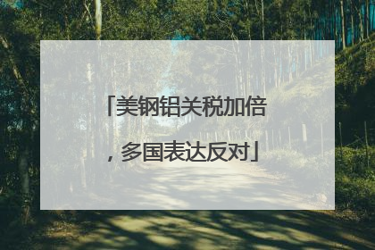 美钢铝关税加倍，多国表达反对