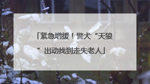 紧急增援！警犬“天狼”出动找到走失老人