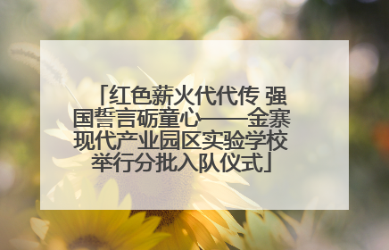红色薪火代代传 强国誓言砺童心——金寨现代产业园区实验学校举行分批入队仪式