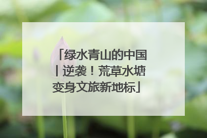 绿水青山的中国丨逆袭！荒草水塘变身文旅新地标