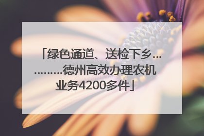 绿色通道、送检下乡…………德州高效办理农机业务4200多件