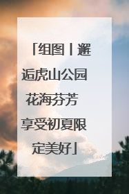 组图丨邂逅虎山公园花海芬芳 享受初夏限定美好