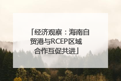 经济观察：海南自贸港与RCEP区域合作互促共进