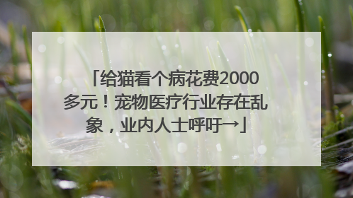 给猫看个病花费2000多元！宠物医疗行业存在乱象，业内人士呼吁→