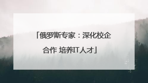 俄罗斯专家：深化校企合作 培养IT人才