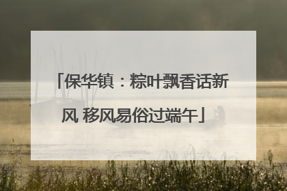 保华镇：粽叶飘香话新风 移风易俗过端午
