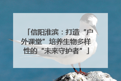 信阳淮滨：打造“户外课堂”培养生物多样性的“未来守护者”