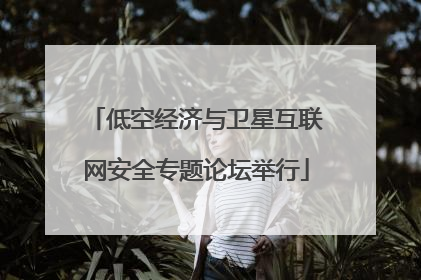 低空经济与卫星互联网安全专题论坛举行