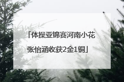 体操亚锦赛河南小花张怡涵收获2金1铜