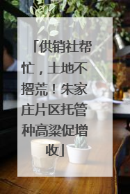 供销社帮忙，土地不撂荒！朱家庄片区托管种高粱促增收