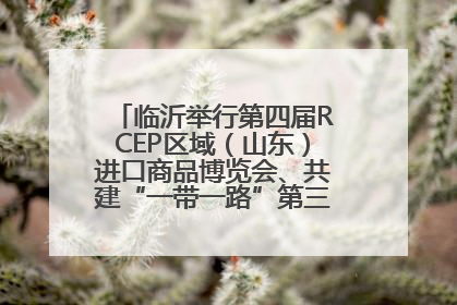 临沂举行第四届RCEP区域（山东）进口商品博览会、共建“一带一路”第三届临沂商城国际采购商大会新闻发布会