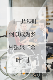 一片绿叶何以成为乡村振兴“金叶”