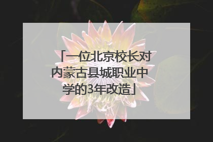 一位北京校长对内蒙古县城职业中学的3年改造