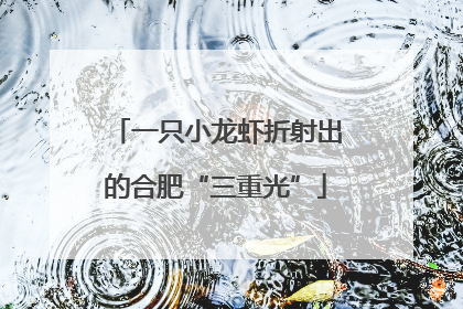 一只小龙虾折射出的合肥“三重光”