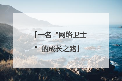 一名“网络卫士”的成长之路