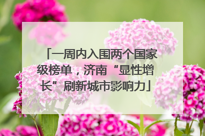 一周内入围两个国家级榜单，济南“显性增长”刷新城市影响力